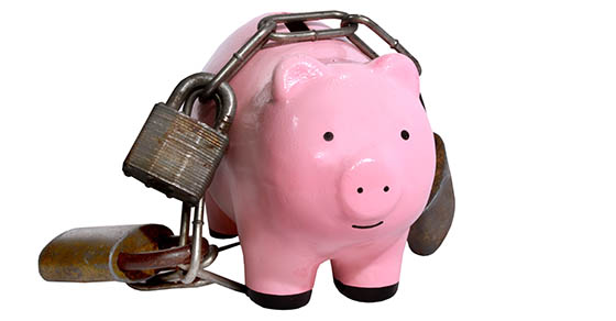 Asset Protection: How to Shield Your Wealth from Lawsuits and Creditors