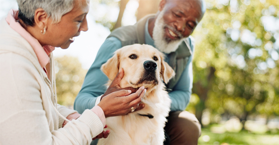 Have You Made Arrangements For Your Pets In Your Estate Plan?